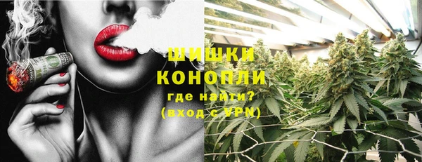 стаф Снежногорск