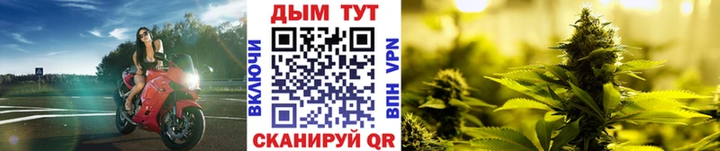 Купить  Пролетарск  Бошки Шишки VHQ 